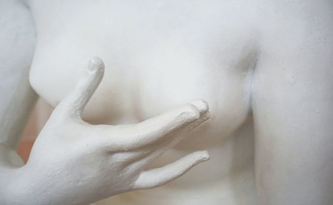 No bra day: cuál es el origen de este día