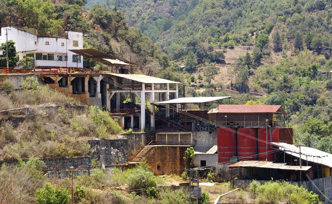 Foto: Edwin Hernández / EL UNIVERSAL