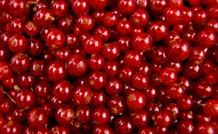 ¿De dónde viene el dulce sabor Grosella de los raspados?