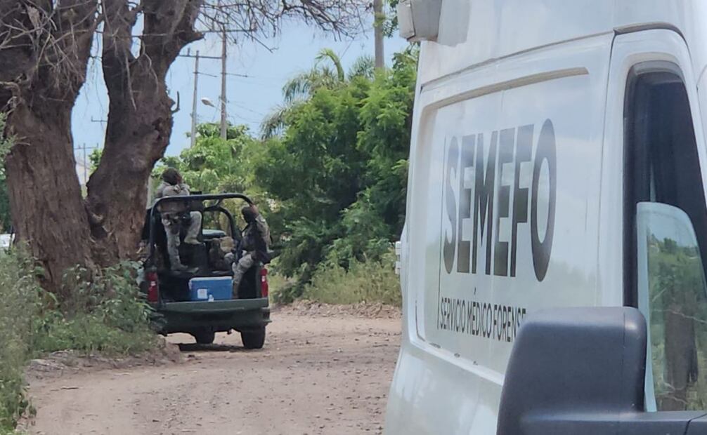 Hallan cuerpos de cuatro personas en Sinaloa (10/08/2025). Foto: Cortesía