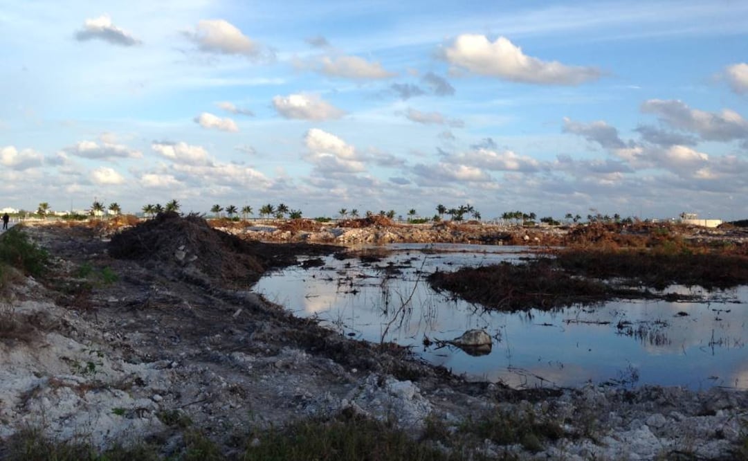 Foto: Archivo EL UNIVERSAL