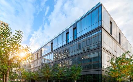 Qué son los Impact Makers y cómo las empresas sostenibles los están liderando