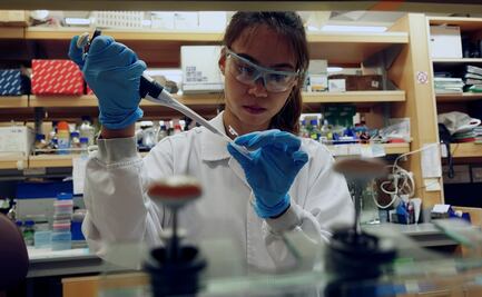 Bonos y Netflix gratis; las fake news sobre el coronavirus