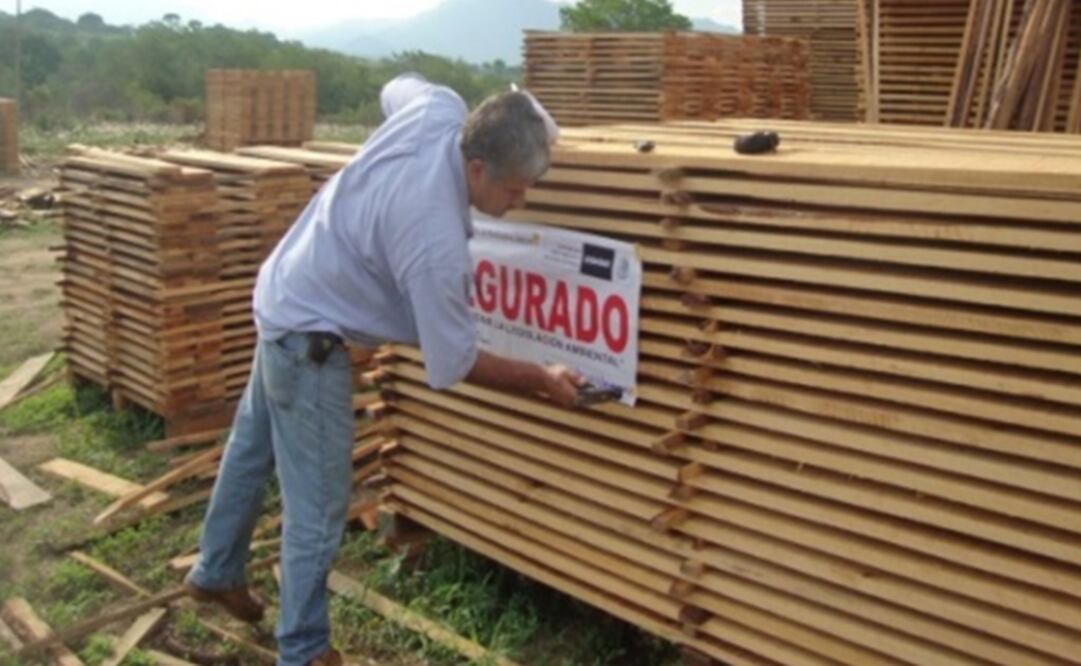 Foto tomada de Twitter @PROFEPA_Mx