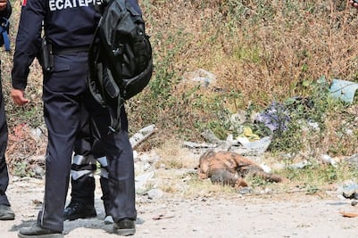 Hallan cuerpo decapitado y descompuesto en Ecatepec