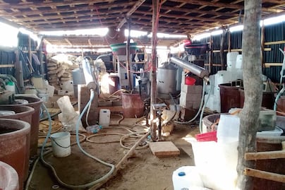 Ejército asegura cuatro narcolaboratorios en Culiacán