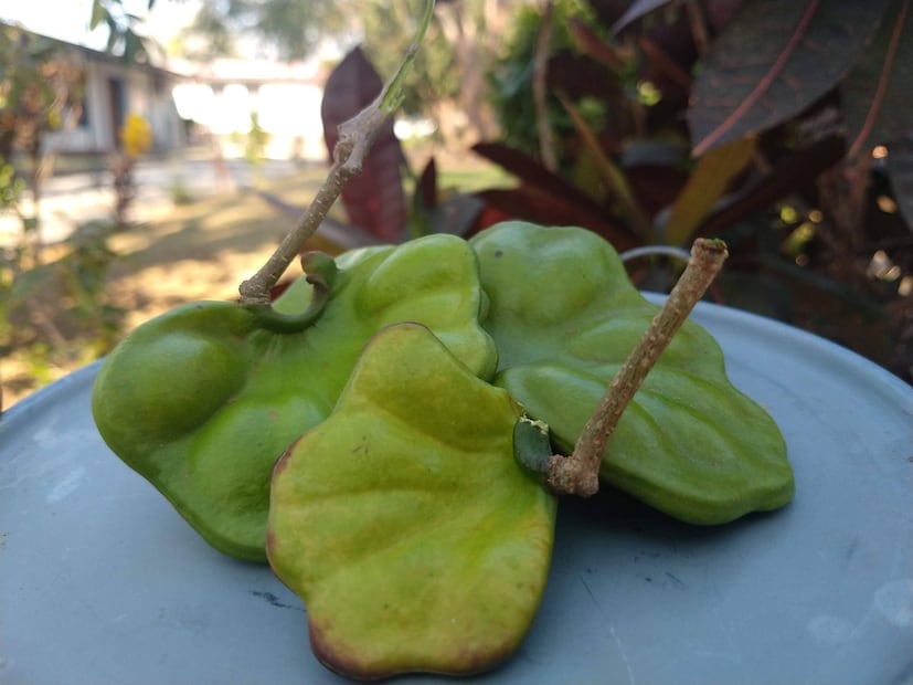 Foto: Raquel del Castillo