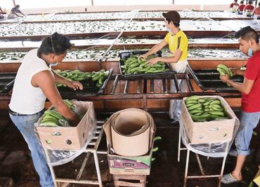 Viento a favor para las empresas de comercio exterior