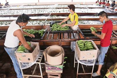 Viento a favor para las empresas de comercio exterior
