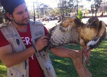 Aseguran animales abandonados en Jalisco