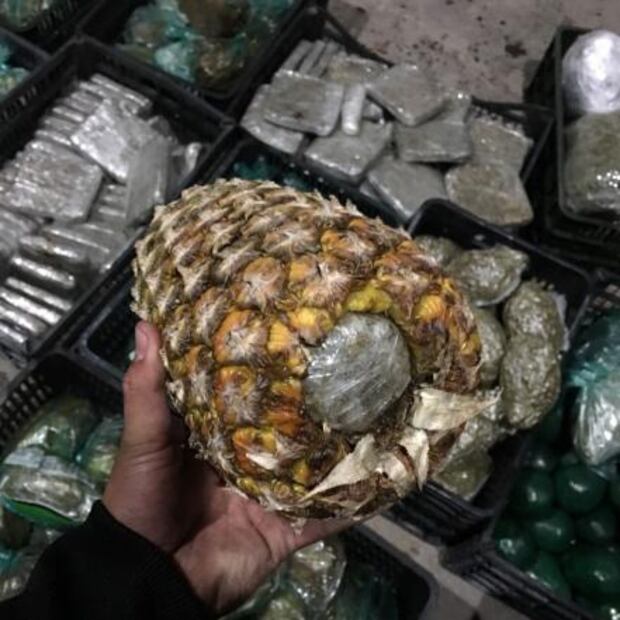 PGR decomisa frutas y verduras rellenas de marihuana en Jalisco