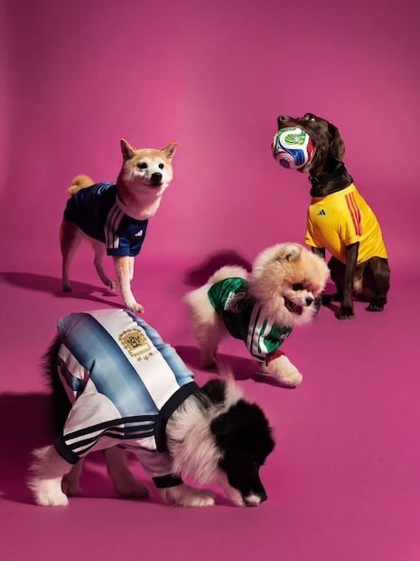 Jerseys para lomitos. Foto: Adidas