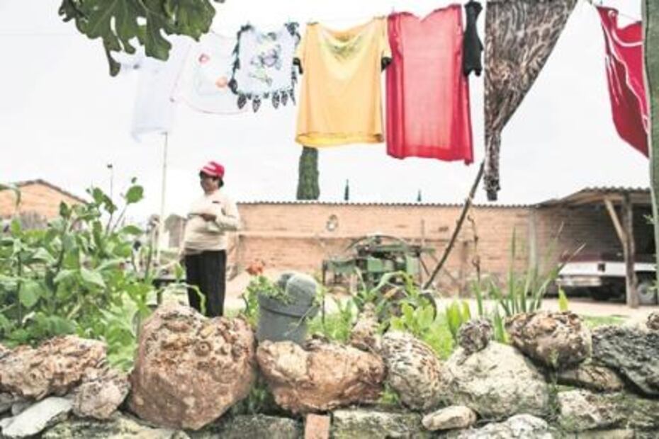 Geoparque, rastros fosilizados del mar en la mixteca oaxaqueña