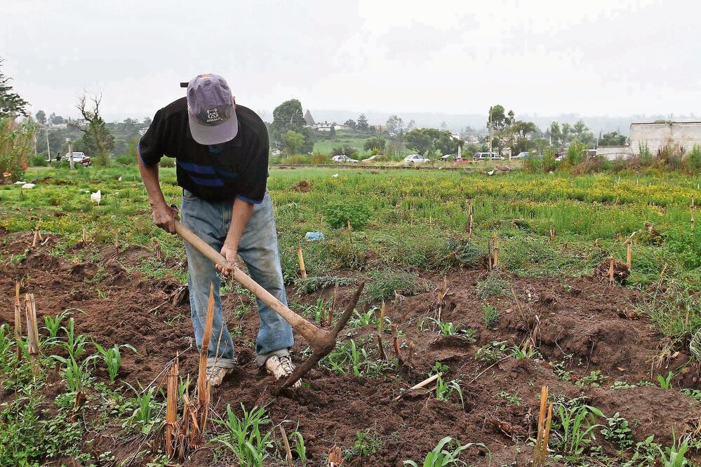 Fotografía: Archivo/ EL UNIVERSAL