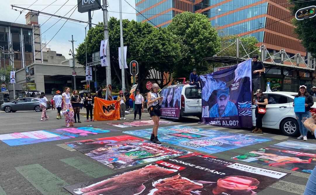 Se denuncia la presunta red de trata y comercialización de animales de la asociaciones y santuarios de la república. Foto: Juan Carlos Williams - EL UNIVERSAL