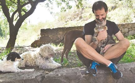 Gato Pardo. A la búsqueda de un nuevo santuario para animales