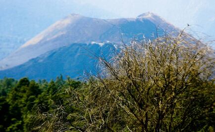 3 mil volcanes monogenéticos mexicanos, causa de estudio y atención
