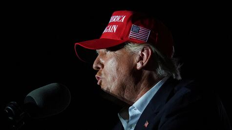 Elecciones EU: el futuro de Donald Trump y otras 3 cosas que están en juego en la batalla por el Congreso