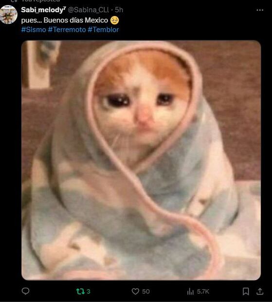 Foto: Captura de pantalla en X