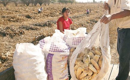 Mejor acabar TLC a mala negociación