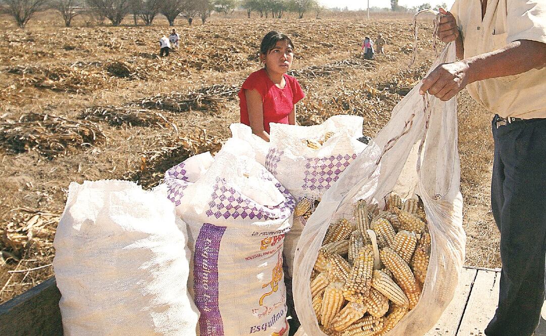 Foto: Archivo. EL UNIVERSAL