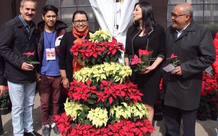 Expo Nochebuenas llega a Reforma