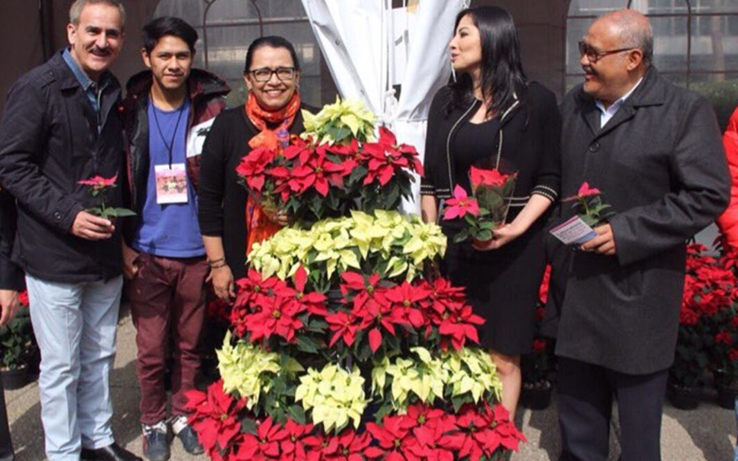 (Foto: Tomada de @rosaicela_CDMX)