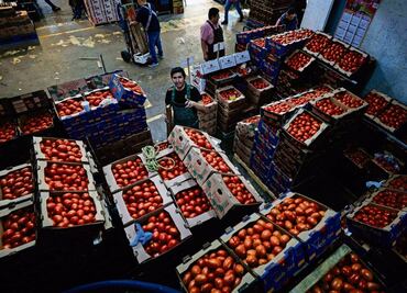 Por aranceles de EU, exportadores de jitomate estiman impacto de 8 mil mdd anuales; envíos a otros países caería hasta 15%