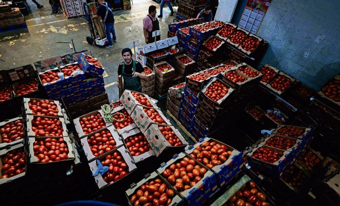 Se espera que la producción de jitomate sea de 3.1 millones de toneladas métricas en 2025. Foto: Diego Simón Sánchez / EL UNIVERSAL