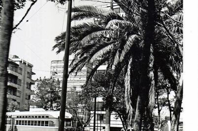 La ciudad que se nos fue