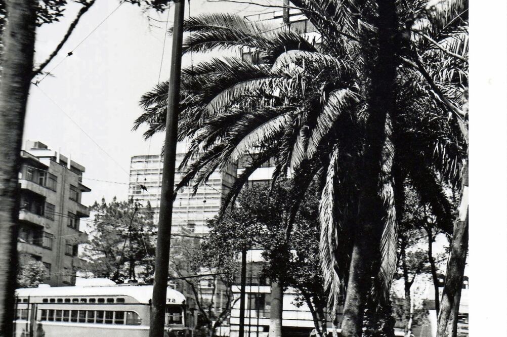 La ciudad que se nos fue