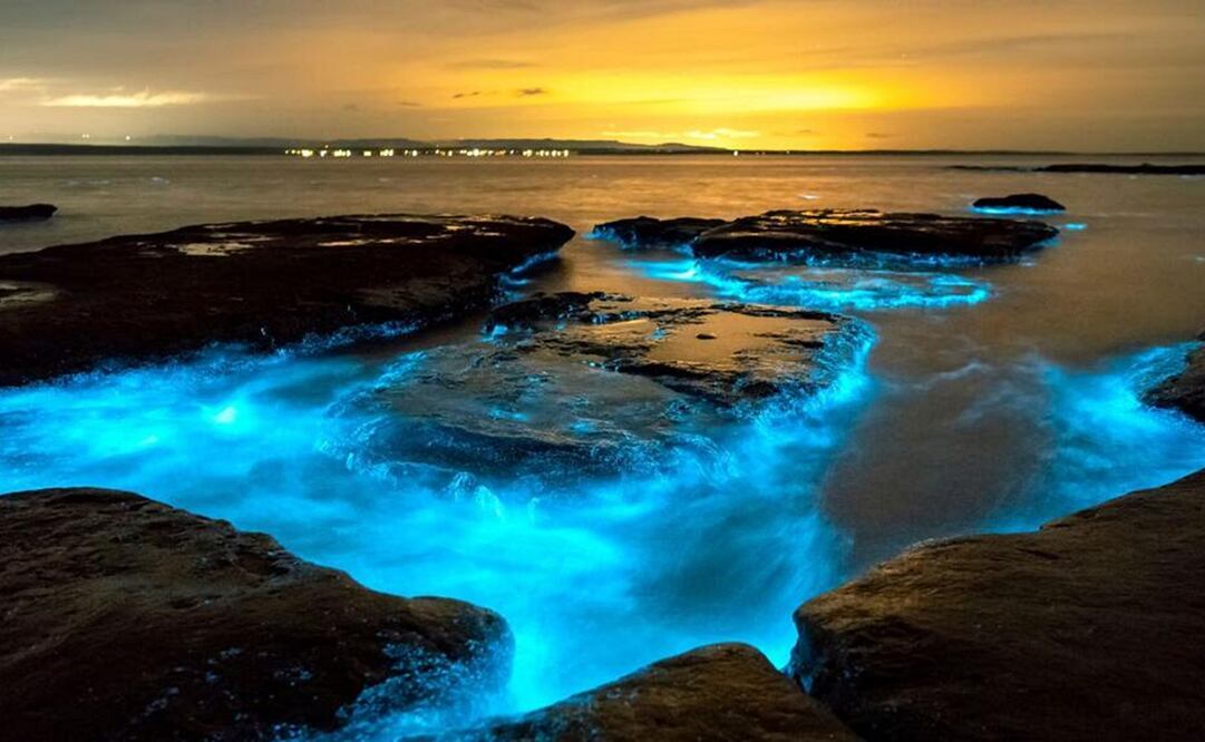 Bioluminiscencia en las costas de México. Foto: Shutterstock