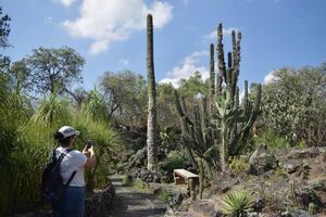 De paseo por CDMX: 5 planes para este fin de semana