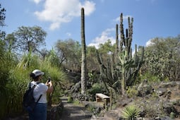 De paseo por CDMX: 5 planes para este fin de semana