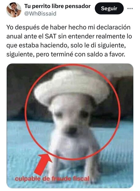 Los mejores memes de la declaración anual 2024. Foto: X