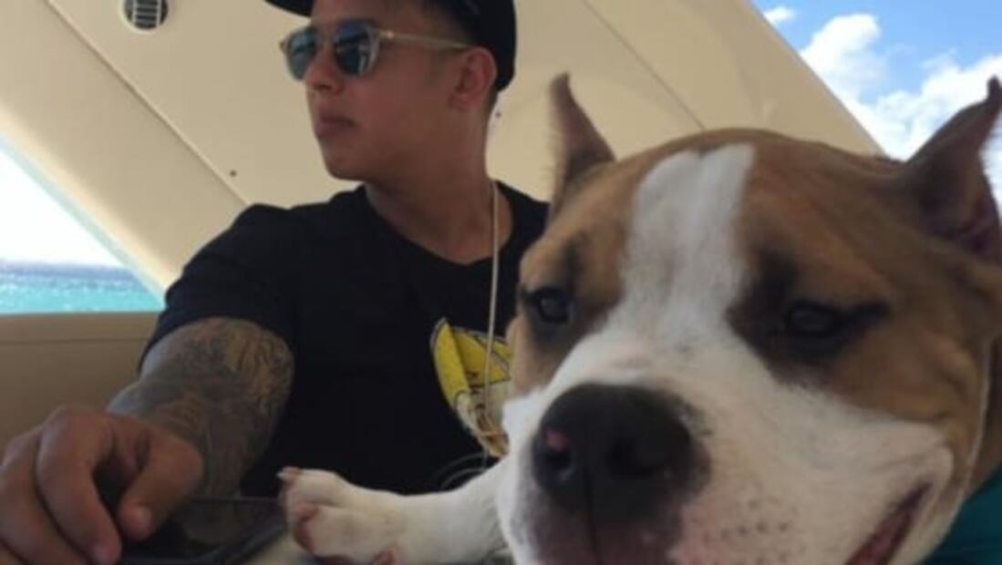 Él es Daddy Yankee más allá de "Gasolina" y el reggaetón