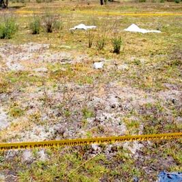 Identifican a madre e hija, asesinadas en Ecatepec
