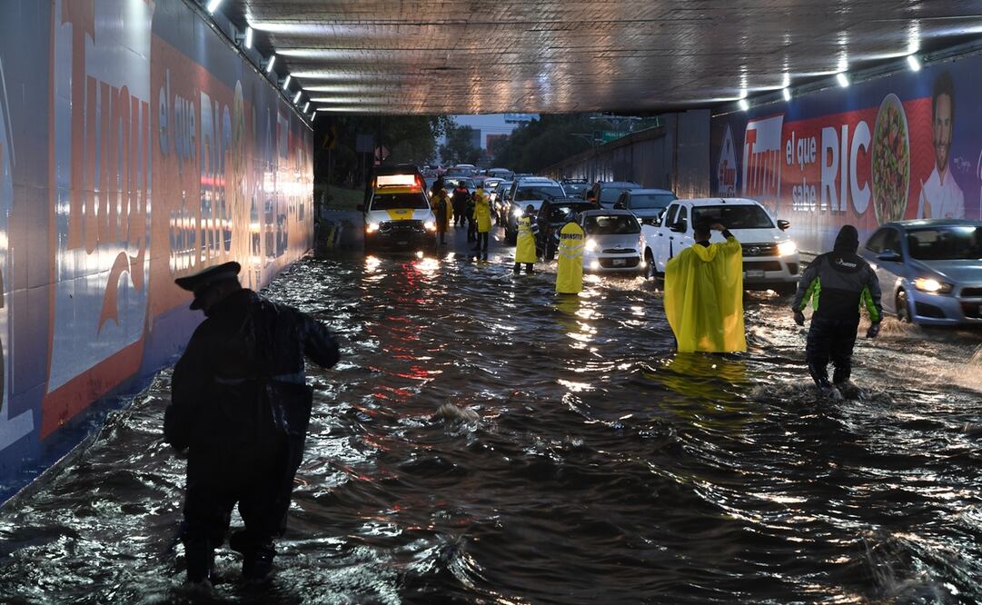 Foto: Archivo El Universal