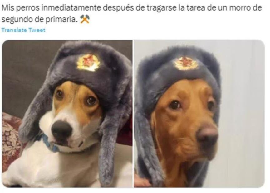 Captura vía Twitter.