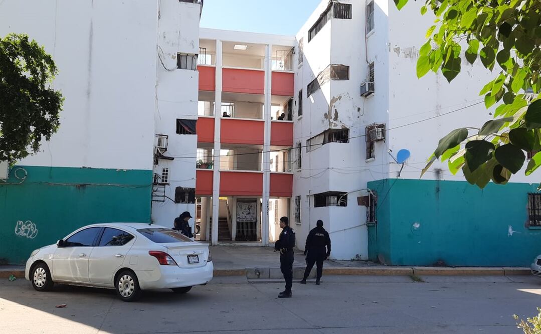 Fraccionamiento Infonavit Las Flores. Foto: Especial