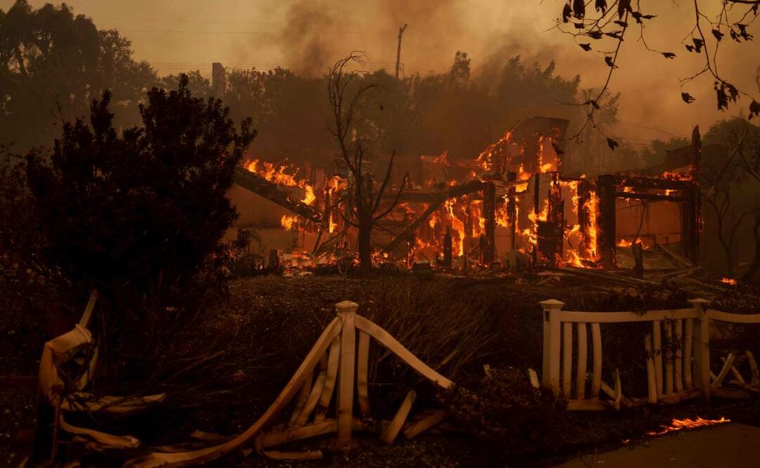 Donald Trump visitará las zonas afectadas por incendios en Los Ángeles. Foto: AP