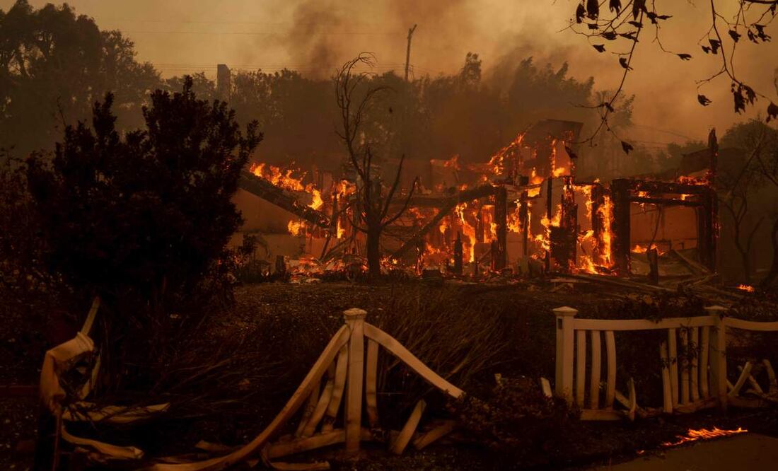 Donald Trump visitará las zonas afectadas por incendios en Los Ángeles. Foto: AP