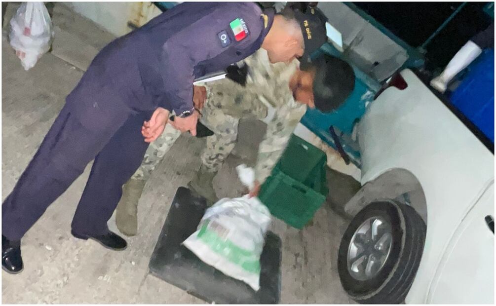 Los pescadores de la embarcación no contaban con permisos para la captura de la langosta, por lo que se consideró ilegal (10/12/2024). Foto: Especial