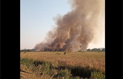 Reportan extenso incendio en pastizales de autopista Naucalpan-Ecatepec