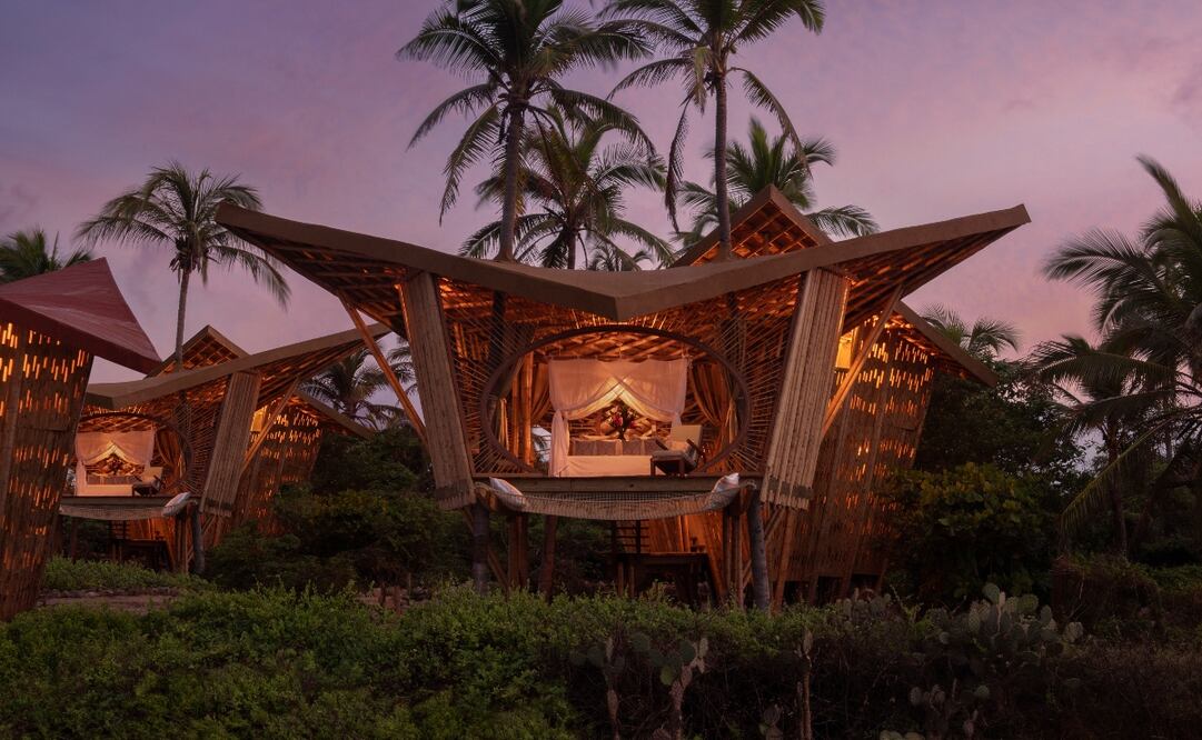 Instagram live: las casas del árbol frente al mar de Playa Viva