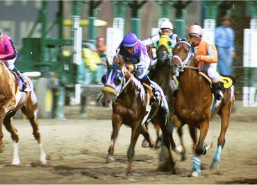 Caballos de carreras son regalados para sobrevivir a crisis del coronavirus