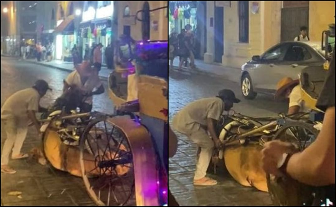 Un caballo que jalaba una calesa, se desplomó de cansancio en pleno Centro Histórico de Mérida. Foto: captura de pantalla