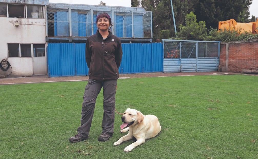 Los perros son preparados desde su crianza y socialización, después trabajan junto con la persona con discapacidad visual. Foto: Fernanda Rojas/ EL UNIVERSAL