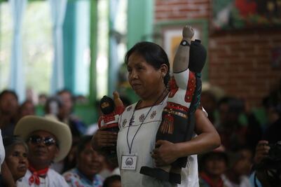 Representaré a pueblos indígenas no tanto por votos: María de Jesús Patricio