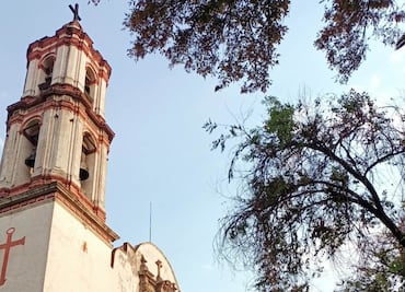 La hormiga en Azcapotzalco que anuncia el fin del mundo